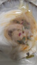 獐子岛 冷冻蒜蓉粉丝扇贝400g 12只 虾夷扇贝 烧烤食材海鲜生鲜预制菜 实拍图