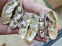 美玏 云南七彩花生咸干水煮500克龙岩七彩湿烤花生带壳无敌下酒菜即食 实拍图