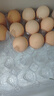 大码鲜鸡蛋1.8kg 实拍图