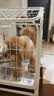 喵先生狗笼狗笼子中型犬小型犬带厕所宠物笼子狗窝狗房子室内围栏狗屋 狗房子白色60*45*67cm建议15斤内 实拍图