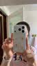 叶余波点西高地适用苹果17pro手机壳iPhone17立体17pro感全包透明硅胶全系列防摔外壳讴歌17系列手机壳 【透明软壳】立体波点西高地 iPhone 17 pro 实拍图