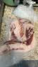 壹号养黑土猪五花肉排骨 净重2斤  谷饲慢养鲜猪肉生鲜冷冻猪瘦肉 实拍图