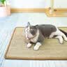 疯狂的主人猫抓板立式贴墙剑麻猫抓垫猫窝防猫抓地毯耐磨不掉屑耐抓猫抓板 实拍图