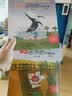全6册Snail's Adventure 蜗牛旅行记英语绘本三年级+你能跟我一起玩吗+王子的宠物+毛毛虫的家+猴子摘水果+国王的乐师外研社丽声北极星分级绘本第一级下 英语课外阅读绘本 京东配送】蜗牛旅 晒单实拍图