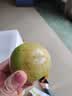 探味君广西红心芭乐番石榴 新鲜水果健康轻食带箱芭乐果 软糯红心芭乐净重5斤（活动装） 实拍图