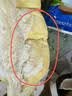 京鲜生 进口金枕头鲜榴莲 净重6-7斤 1个装 生鲜新鲜水果七夕情人节礼物 实拍图