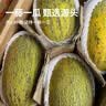 京鲜生 新疆黄金哈密瓜 2粒 单果2.5斤起 净重6-8斤 生鲜水果礼盒 实拍图