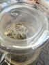 物生物（RELEA）玻璃杯男女士茶水分离杯耐高温办公泡茶杯带把高硼硅水杯花茶杯子 实拍图