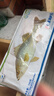 仙泉湖冷冻三去白蕉海鲈鱼700g/袋(2条装)肉厚刺少水产生鲜食材 实拍图