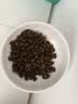 愛肯拿（ACANA）猫粮 海洋盛宴成猫幼猫粮 全价美毛无谷进口鱼肉粮5.4kg效期27/5 实拍图