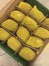 佳沛（zespri）新西兰 阳光金奇异果12粒特大果单果124-146g 猕猴桃水果礼盒 实拍图