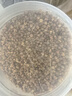 艺福堂茶叶花草茶 黑苦荞茶500g大凉山大颗粒全胚芽荞麦茶泡水喝养生茶 实拍图