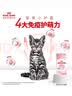 皇家猫粮 幼猫猫粮 幼猫奶糕 K36 通用粮 4-12月 2KG 实拍图