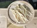 万港银鱼干250g 北海特产小银鱼海鲜干货淡水干银鱼 七夕节送礼礼品 实拍图