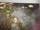 索尼（SONY）黑神话悟空 索尼SONYPS5黑神话光盘徽章版广智版PlayStation国行游戏科学 实拍图