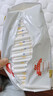 好奇（Huggies）铂金装小桃裤纸尿裤XL96片(12-17kg)加大号尿不湿【夏季散热王】 实拍图