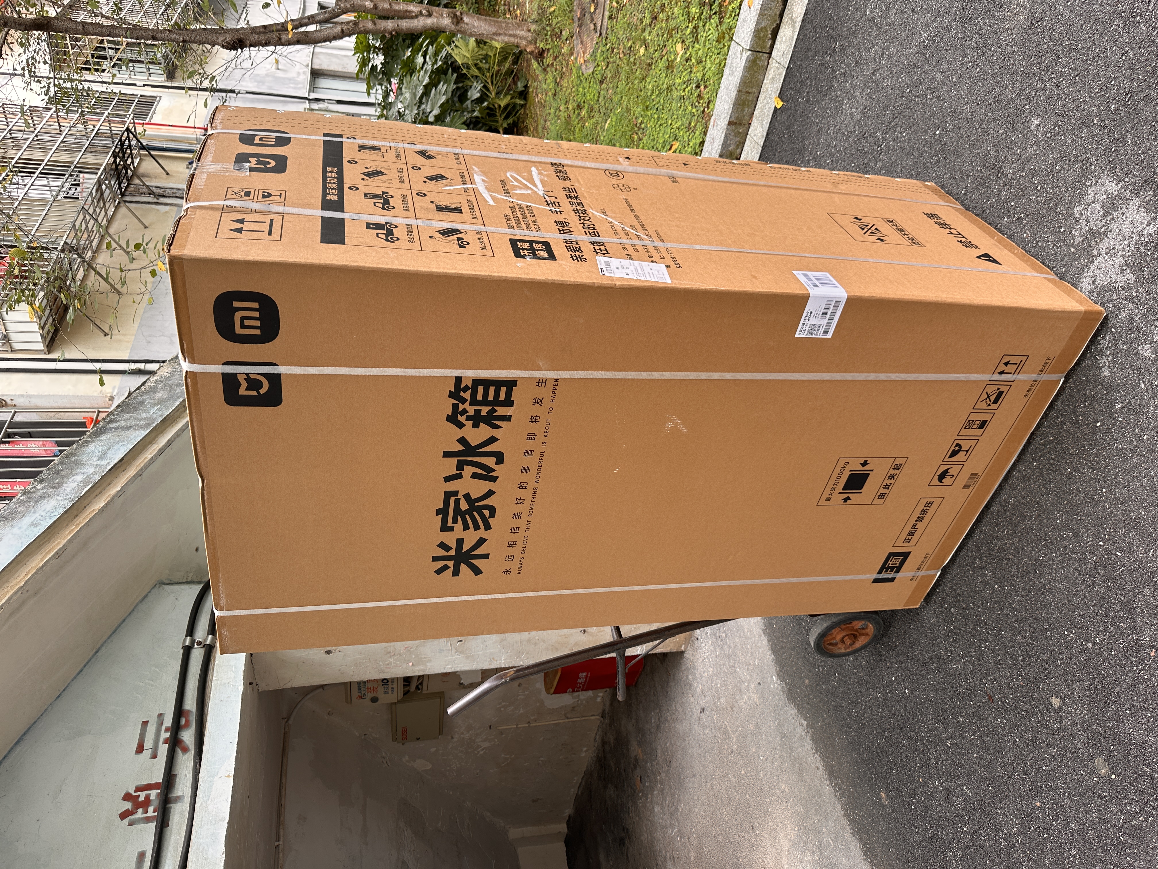 米家小米冰箱561升双开门家用大容量变频风冷无霜节能一级能效京东自营BCD-561WKMP 实拍图