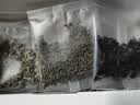 神农金康 绞股蓝杜仲茶罗布麻茶270克  胶股蓝嫩叶茶送爸妈礼品茶 实拍图