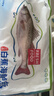 仙泉湖三去白蕉海鲈鱼400g/条净膛冷冻刺少肉厚特产海鲜水产生鲜食材 实拍图