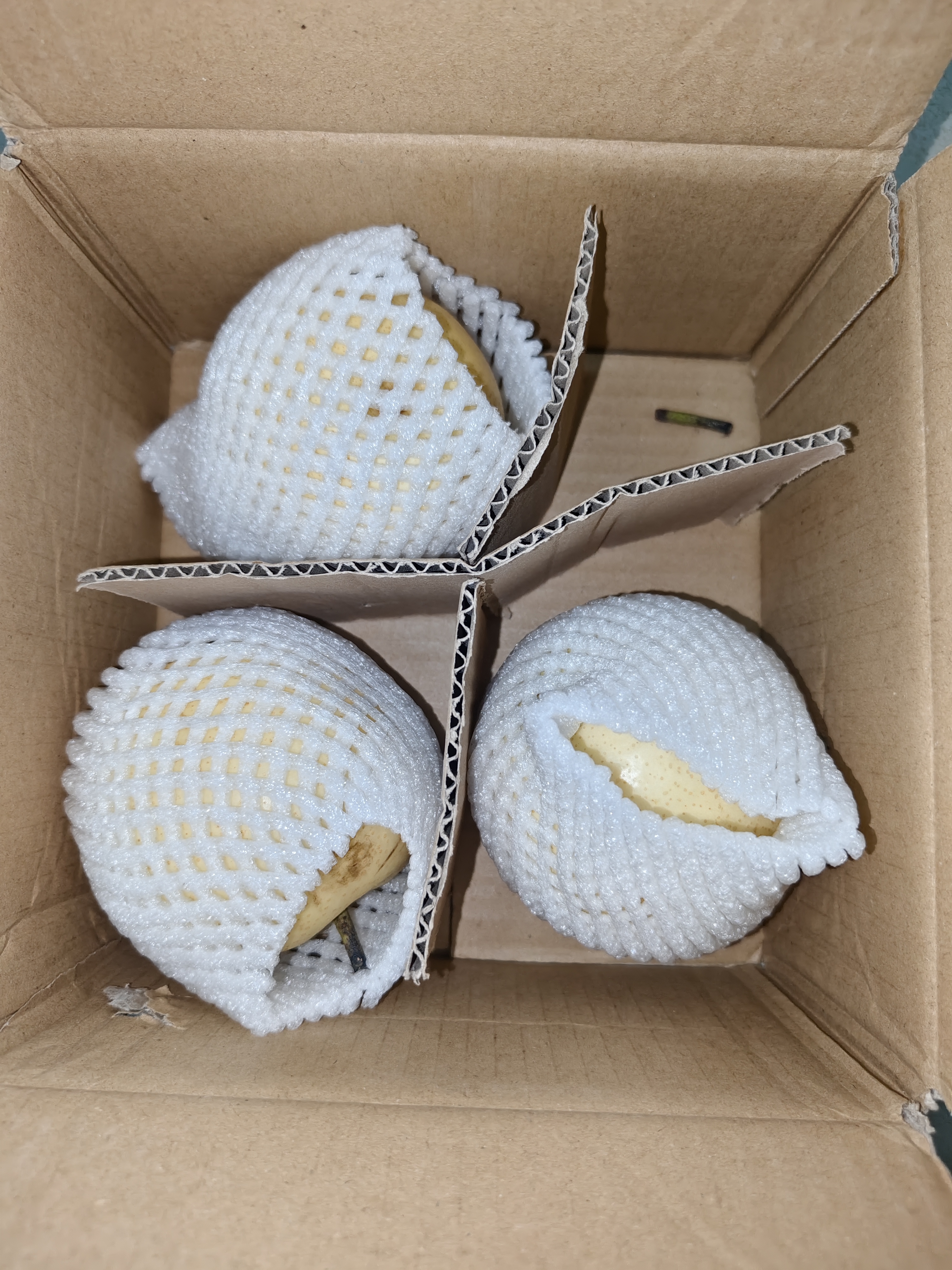 正宗河北皇冠梨饶阳皇冠梨产地直发单果180g+ 带箱2斤装（净重1.6-1.8斤） 实拍图