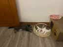 LEGENDSANDY蓝氏乳鸽猫粮幼猫成猫猫零食主食猫条餐包猫咪尝鲜大礼包246g 实拍图
