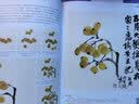 4册全套《少儿国画入门基础》花鸟蔬果动物鱼虫篇幼儿童初学画画实用临摹教材写意美术课件教程书籍起步杨建飞 实拍图