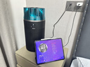 戴森（DYSON）HJ10空气净化器除甲醛过滤PM2.5母婴级净化去除宠物异味去猫皮屑 过滤猫杯状病毒 母婴宠物家庭 实拍图