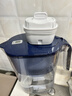飞利浦（PHILIPS）净水壶滤水壶过滤水壶净水器滤水器过滤器滤芯 标准版滤芯【12只装】AWP210 实拍图