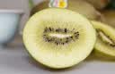 佳沛（zespri）新西兰阳光金奇异果18粒礼盒优选果单果103-124g 猕猴桃水果礼盒 实拍图