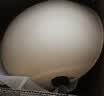雅迪电动车头盔摩托车头盔3c认证新国标A类摩登光芒Q50电动车摩托车自行车助力车四季男女通用轻便式 实拍图