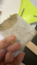 光明牌精品重绿豆棒冰96g*10支 薄荷清凉口感冰棍冷饮雪糕冰激凌家庭装 实拍图