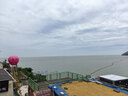 京东京造 竹粹本色抽纸3层110抽*24包“熊猫纸”竹浆无漂白纸巾餐巾纸整箱 实拍图