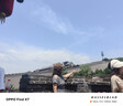 汤臣倍健蛋白粉450g+150g礼盒  乳清蛋白粉 成人中老年人增强免疫力 实拍图