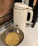九阳1.4L大磨王豆浆机316L不锈钢轻音免滤自清洗可预约家用全自动破壁机榨汁机DJ14X-D664 实拍图
