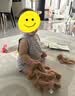 Jellycat新生系列巴塞罗熊摇铃婴儿陪伴玩具安抚宝宝送礼生日新婚礼物 棕色 One Size 实拍图