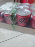 可口可乐（Coca-Cola）饮料  零度 无糖 汽水 碳酸饮料 200ml*12罐 实拍图