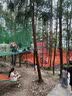 原始人（The Primitive）吊床户外成人防蚊儿童防侧翻露营室内宿舍吊椅网床摇篮旅游秋千 速搭防蚊吊床【家庭款 可承重700斤】星摇蓝粉 实拍图