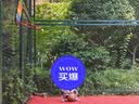 李宁（LI-NING）篮球儿童6-12岁5号CBA联赛篮球室内外通用青少年儿童五号PU445 实拍图