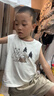 德贝臣钙  德贝臣接骨木莓钙 成长素儿童青少年DHA  德贝臣钙片 【买2发3】【基础装】 90g*3瓶 实拍图