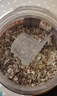 穗格氏（SHEGURZ）高纤黑麦片 健身代餐无糖精钠即食营养早餐燕麦片冲饮谷物 【爆款推荐】低GI黑麦片 1000g*2罐 实拍图