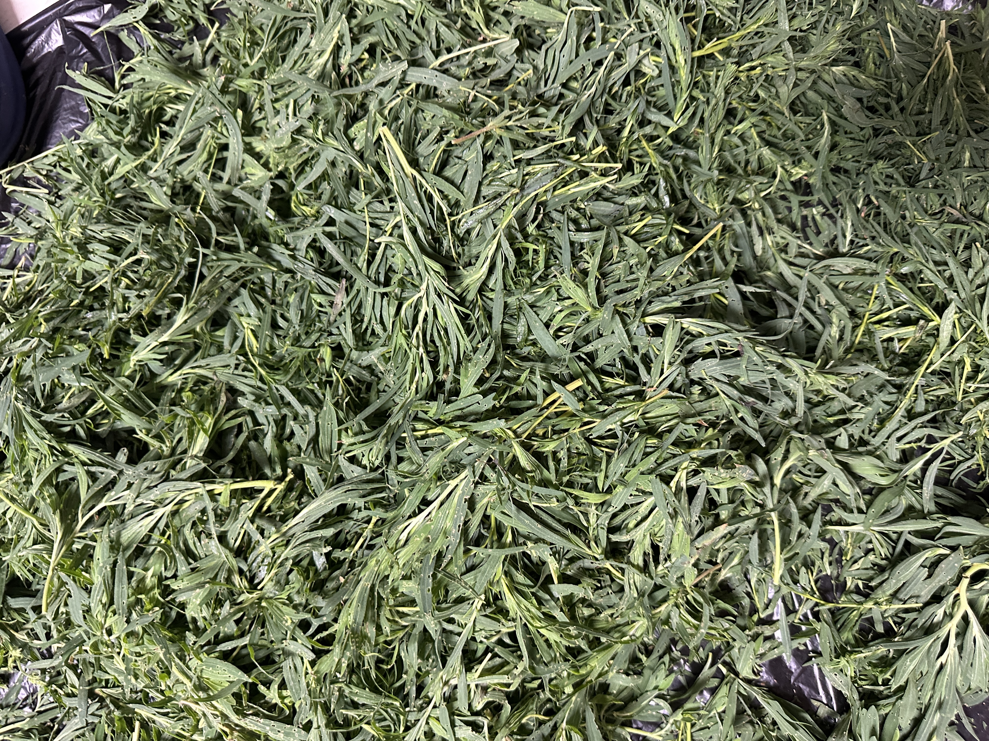 百草园幼儿园被子收纳袋加厚牛津布学生装棉褥的袋儿童手提行李打包衣服 实拍图