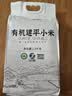硃碌科 有机建平K1黄小米5斤装 辽宁优品认证 建平小米糯小米粥小黄米 实拍图