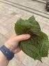 雀巢（Nestle）超启能恩2段 较大婴儿配方奶粉 6-12月适用850g*1罐 3倍DHA 实拍图