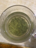 乐品乐茶明前特级毛尖绿茶2026新茶嫩芽春茶茶叶礼盒装250g伴手礼送长辈 实拍图