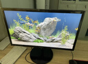 三星（SAMSUNG）22英寸 100Hz 1K IPS 护眼办公 1080P 高刷游戏 设计屏幕 HDMI 台式笔记本外接 扩展屏 电脑显示器 实拍图