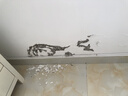三棵树漆墙面修补膏防霉抗菌白色墙面去污修复腻子粉膏墙皮脱落防水补墙膏 实拍图