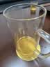 雅集豪饮杯玻璃杯办公室 耐热大容量办公水杯 男士带盖泡茶杯子850ml 实拍图