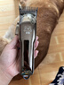 蚁族宠物剃毛器猫狗理发器大型犬金毛留毛推子大功率电推剪含指甲钳 实拍图