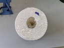维达（Vinda）【孙颖莎推荐】有芯卷纸 蓝色经典4层140克*27卷 卫生纸纸巾 整箱 实拍图