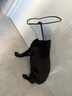 憨憨乐园伊丽莎白圈耻辱圈狗狗猫项圈猫咪头套宠物脖套大型犬防咬圈用品1 实拍图